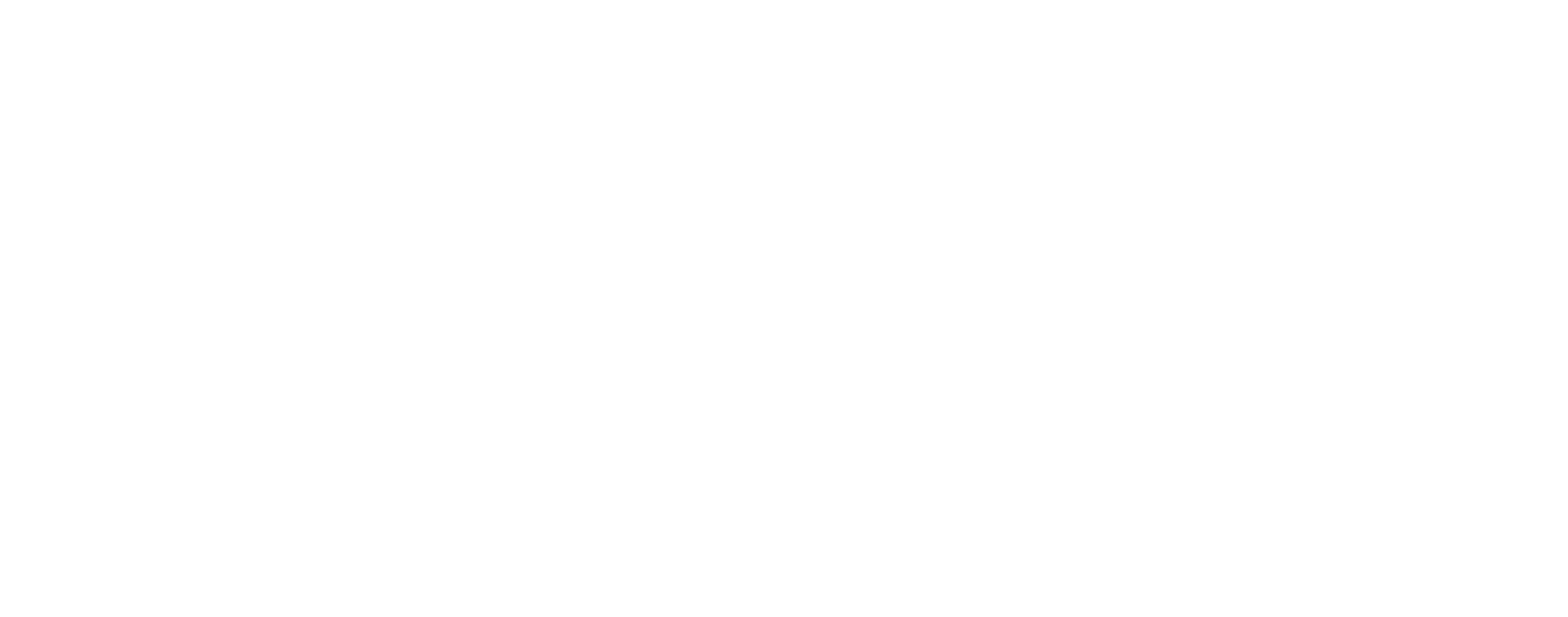 MSA Logo